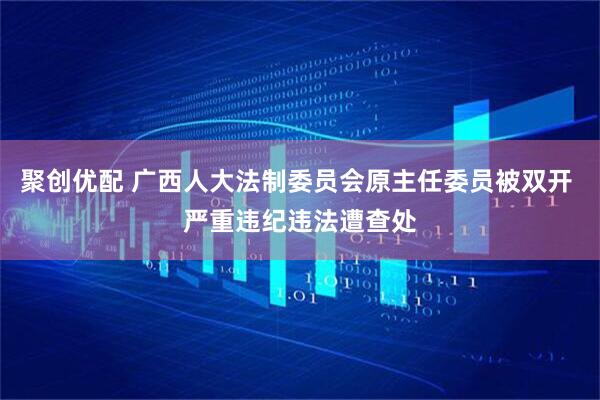 聚创优配 广西人大法制委员会原主任委员被双开 严重违纪违法遭查处